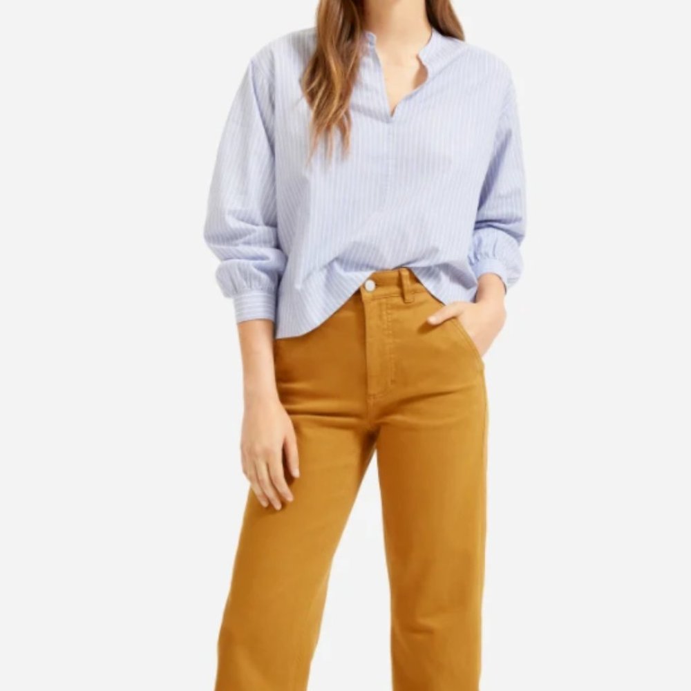 Everlane Straight Leg Crop Pant (Regular) Ochre 10